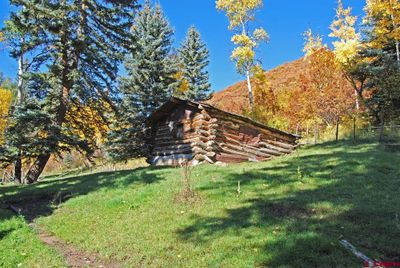 20738 Stevens Gulch Road, Home with 4 bedrooms, 2 bathrooms and null parking in Paonia CO | Image 3