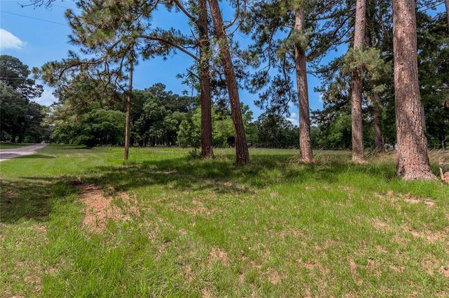 15 Hermitage, Home with 0 bedrooms, 0 bathrooms and null parking in Trinity TX | Image 9