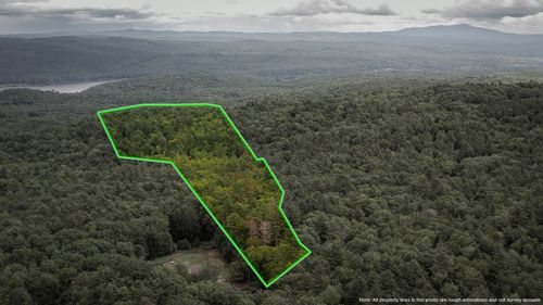 Lot 90 S Mine Ledge Rd, Surry, NH, 03431-8008 | Card Image