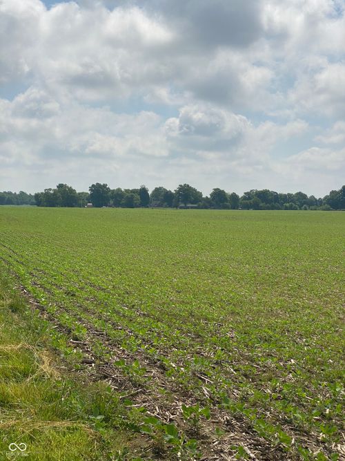 TBD E State Road 236, North Salem, IN, 46165 | Card Image