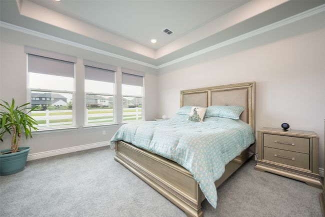 Primary bedroom with ornamental molding, tray ceiling and carpet | Image 12
