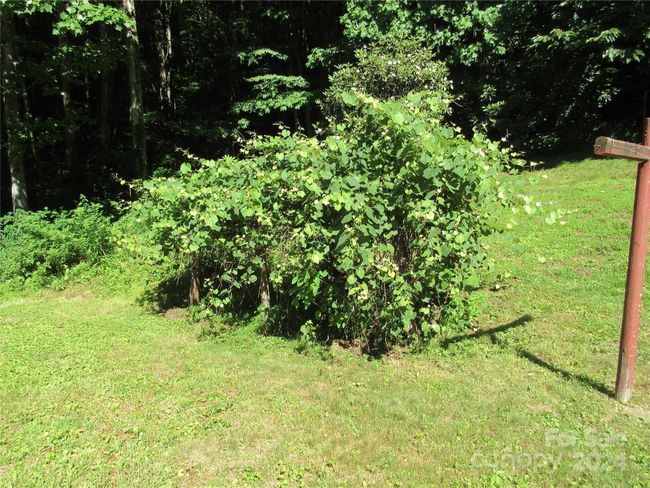 664 Woodfin Rd, House other with 2 bedrooms, 1 bathrooms and null parking in Sylva NC | Image 16