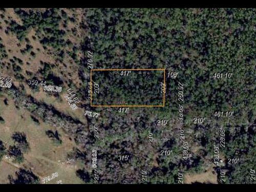 XX Driftwood Court, Tallahassee, FL, 32317 | Card Image