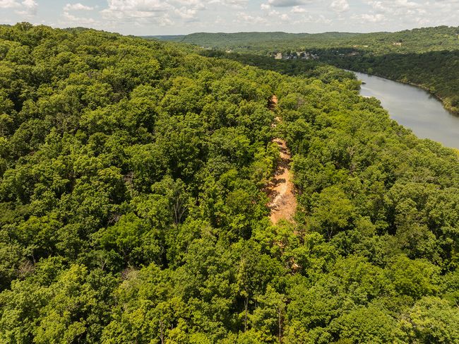 DJI_20250710125309_0172_D | Image 19