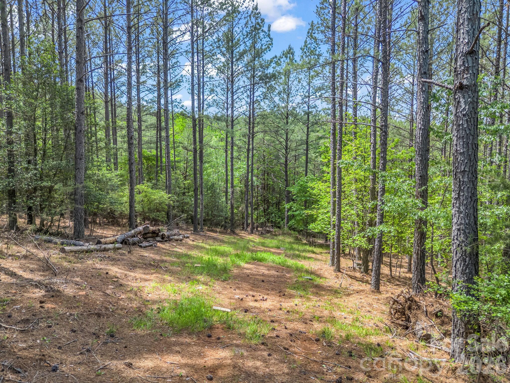 Land in Mooresboro 2