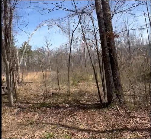 0 Ritter Rd, Morris Chapel, TN, 38361 | Card Image