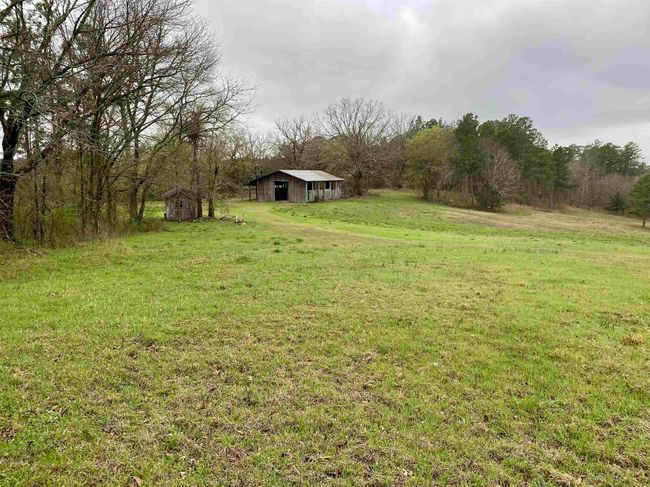 33 Collins Field Rd, Home with 3 bedrooms, 2 bathrooms and null parking in Mount Ida AR | Image 42