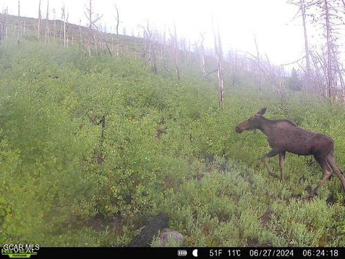 582 County Road 414, Granby, CO, 80446-9025 | Card Image