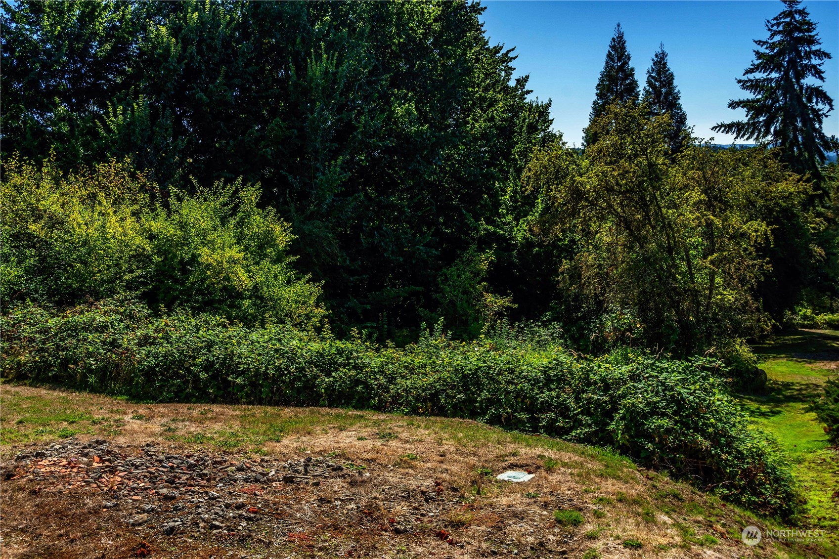 Land in Chehalis 3
