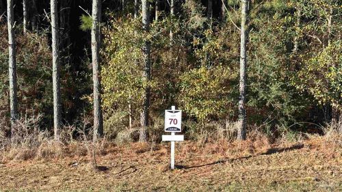 lot 70 Straw Bridge Rd, Allentown, FL, 32565 | Card Image