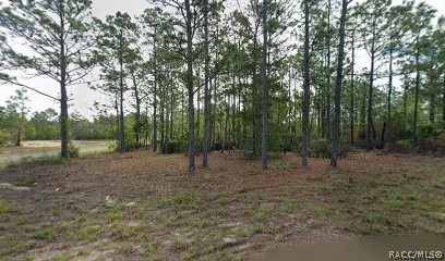 Land in Dunnellon