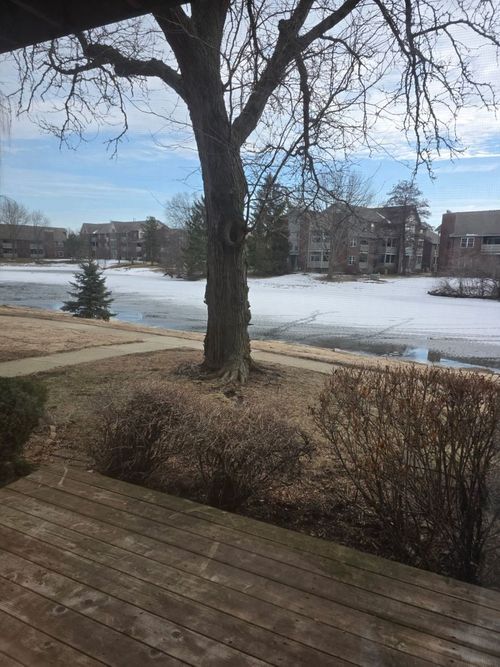 apt-1-913 Casey Ct, Schaumburg, IL, 60173-5240 | Card Image