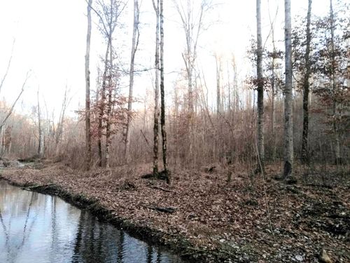 0 Deer Ridge Rd, Waynesboro, TN, 38485 | Card Image