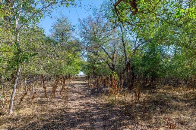 3597 Baker Rd, Home with 0 bedrooms, 0 bathrooms and null parking in Kingsbury TX | Image 15