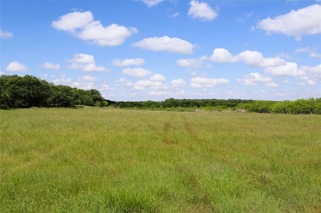 20 N Carroll St, Home with 0 bedrooms, 0 bathrooms and null parking in Henrietta TX | Image 11