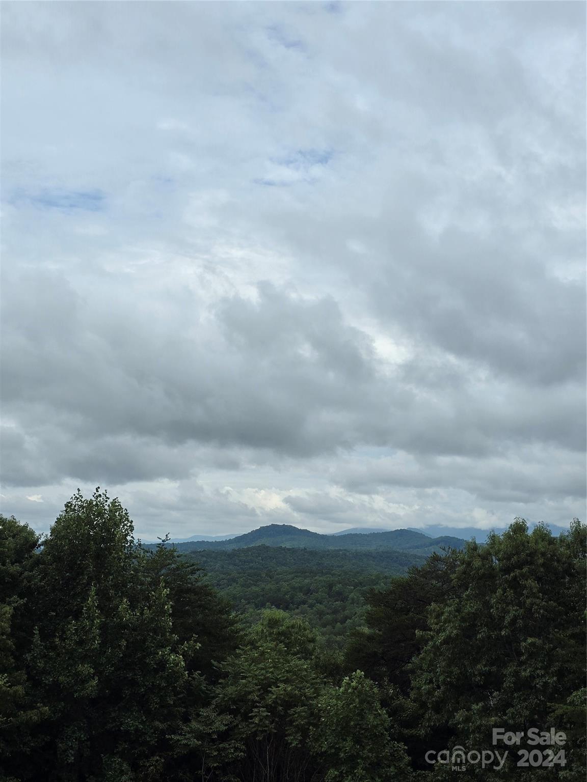 Residential in Lake Lure 2