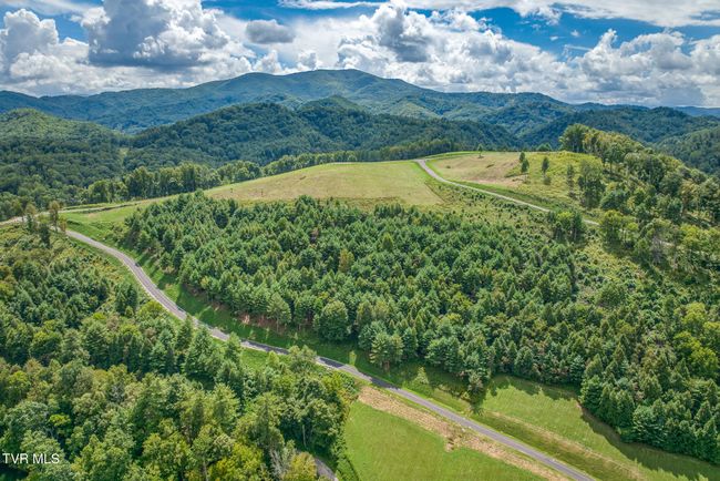 10 Cowan Town Rd, Home with 0 bedrooms, 0 bathrooms and null parking in Butler TN | Image 17