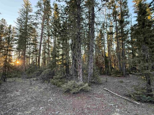 Lot 45 Happy Way, Angel Fire, NM, 87710 | Card Image