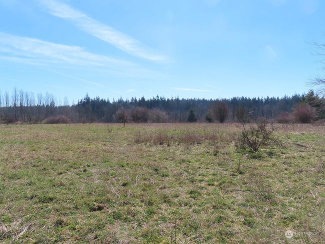 B - 107 Avery Rd W, Home with 0 bedrooms, 0 bathrooms and null parking in Napavine WA | Image 15