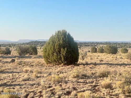 349ne Rocky Top Rd, Seligman, AZ, 86337 | Card Image