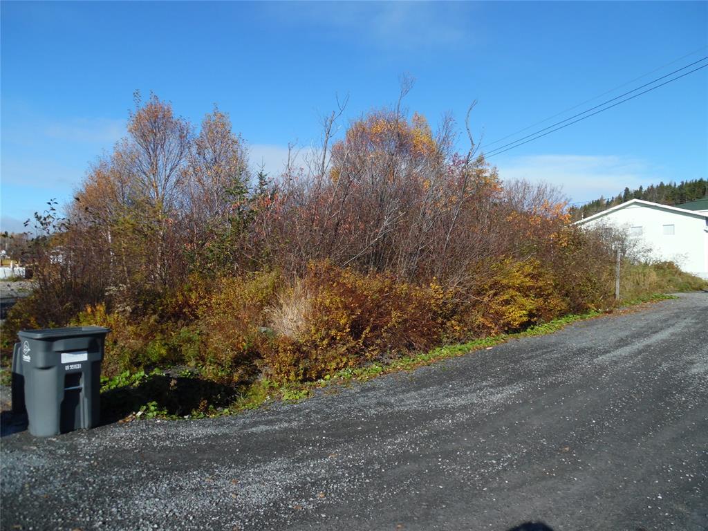 Land in Clarenville 5