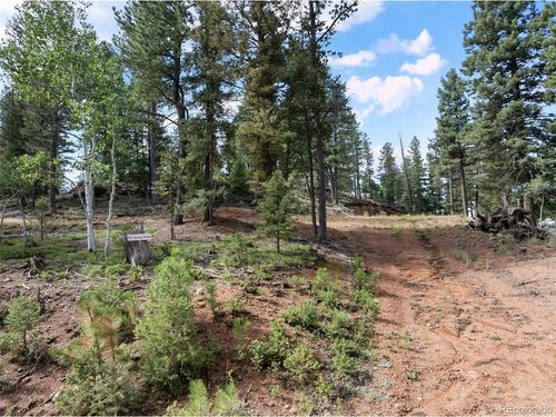 422 Spring Valley Dr, Divide, CO, 80814 | Card Image