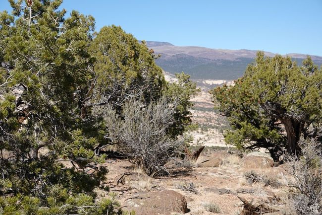 12B - 316 Pinion Branch North Dr, Home with 0 bedrooms, 0 bathrooms and null parking in Boulder UT | Image 10