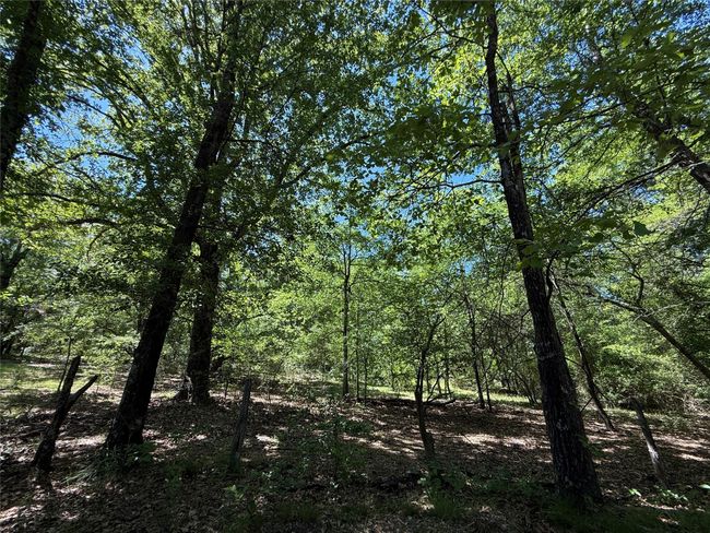 72 N Farm Road 900 N, Home with 0 bedrooms, 0 bathrooms and null parking in Saltillo TX | Image 33