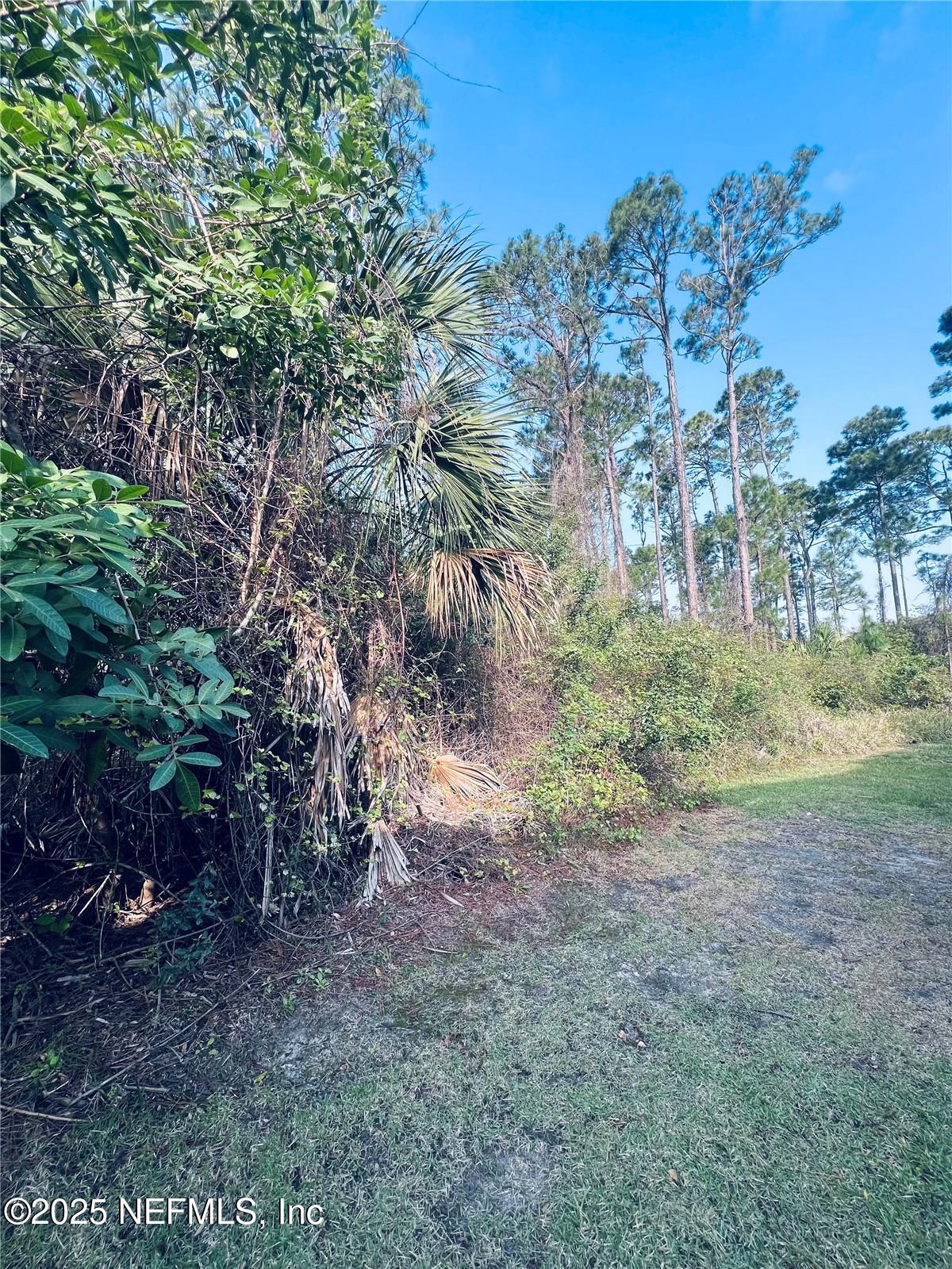 Land in Palm Coast 4