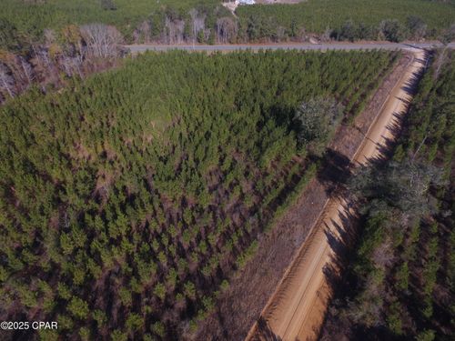 1 Peanut Road, Cottondale, FL, 32431 | Card Image