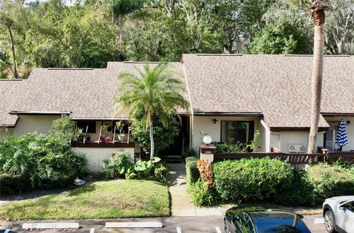2920 Star Apple Ct, PALM HARBOR, FL, 34684-3618 | Card Image