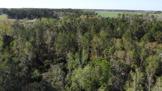 5.59 Ac Coffee Rd, Home with 0 bedrooms, 0 bathrooms and null parking in Morven GA | Image 4