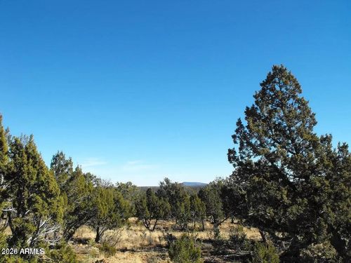--4131 Sunset Ridge Loop, Happy Jack, AZ, 86024 | Card Image