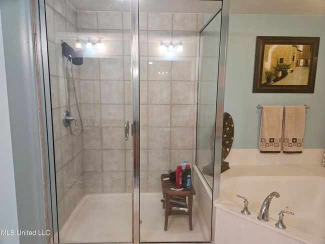 Primary Bathroom | Image 17