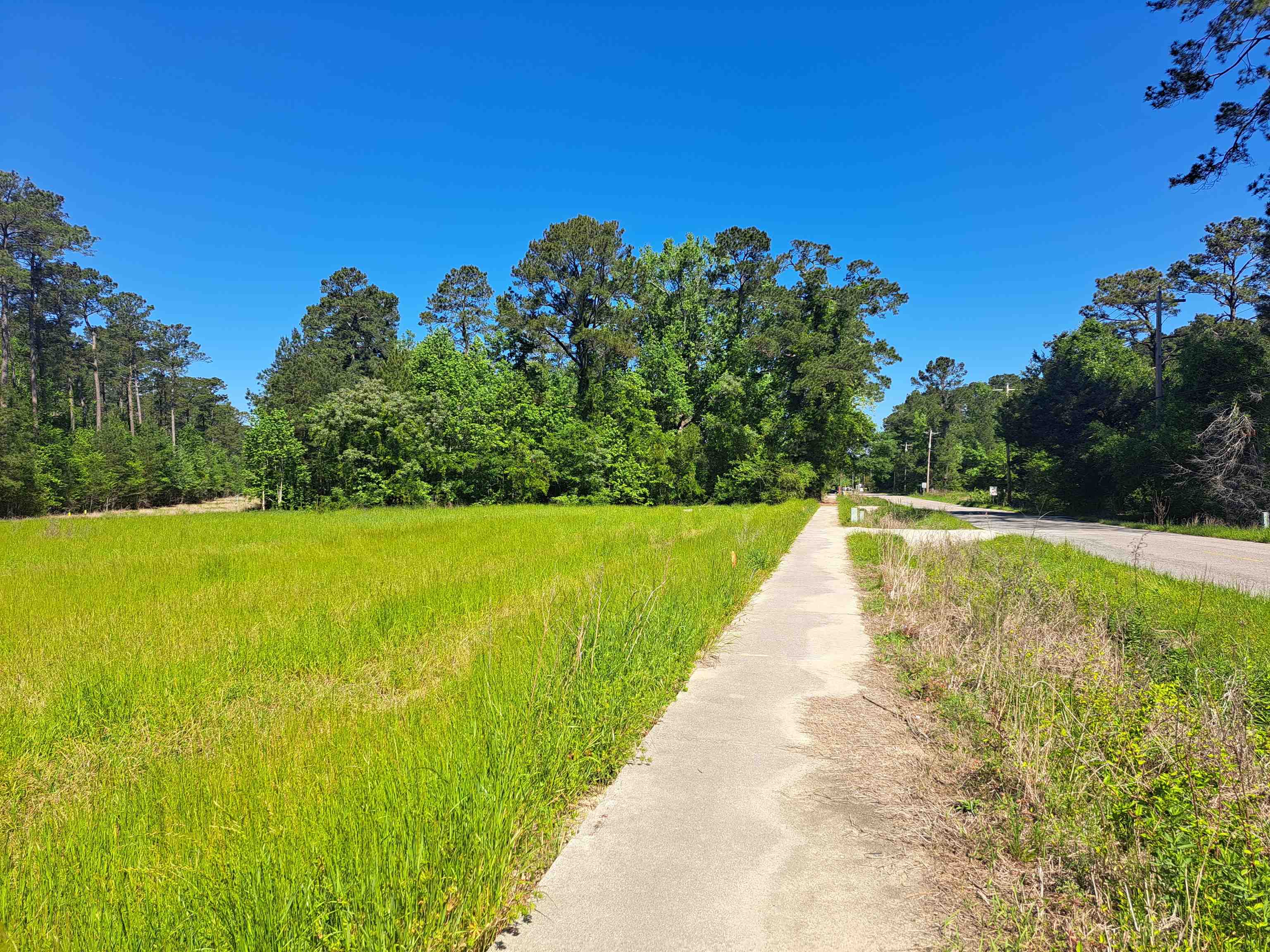 Land in Conway