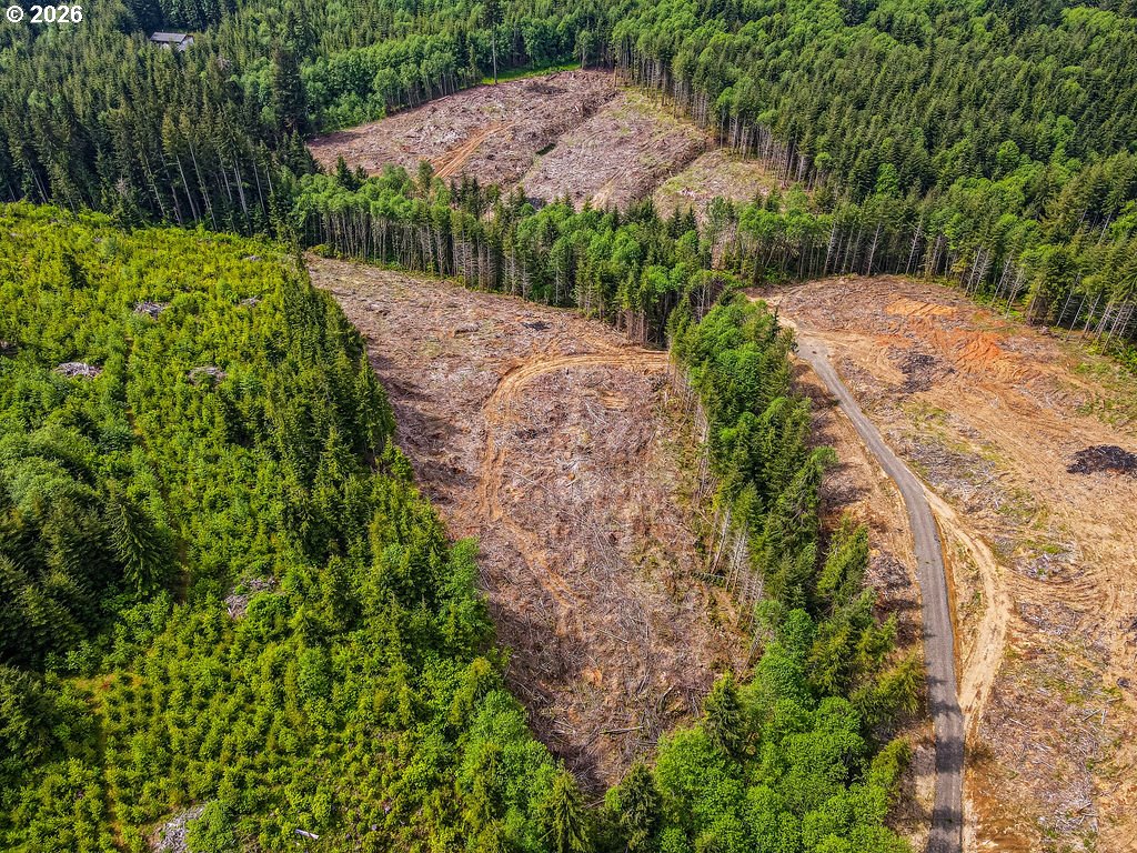 Land in Longview 5