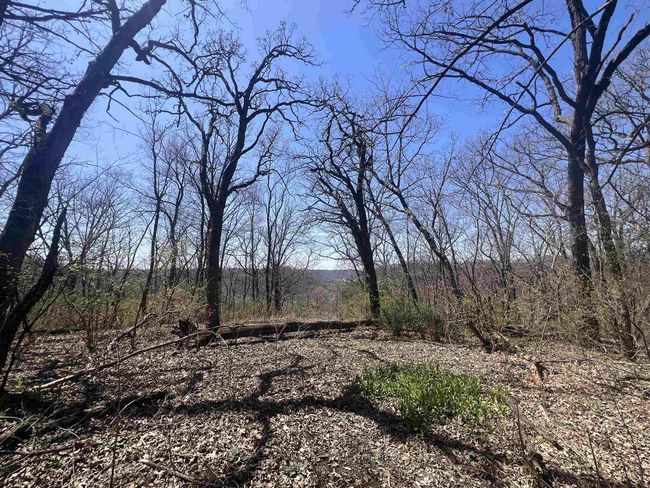 71 +/- Acres Scenic View Road, Home with 0 bedrooms, 0 bathrooms and null parking in Seneca WI | Image 42