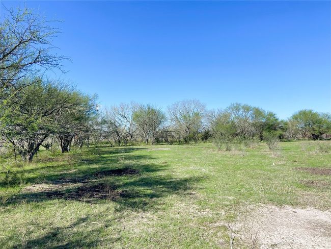 Western corner at brush line | Image 23