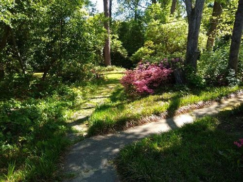 5308 Enigma Dr, Windsor, SC, 29856-2198 | Card Image