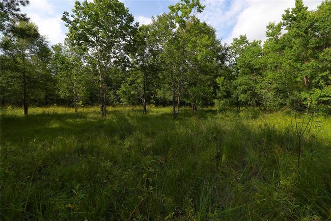 Flat land. | Image 9