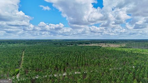 26 AC Owens Rd, Odum, GA, 31555 | Card Image