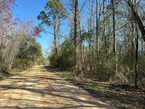Tract#6317 Harris Stevenson Road, Bonifay, FL, 32425 | Card Image