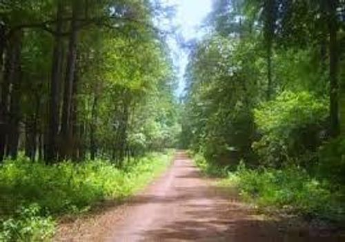 28624 Shawnee Ct, Pointblank, TX, 77364 | Card Image