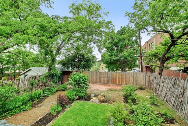 Back yard | Image 37