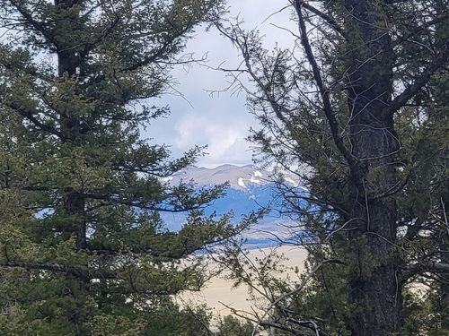 1941 Redhill Rd, FAIRPLAY, CO, 80440-4000 | Card Image