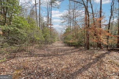 05 Kate Road, Home with 0 bedrooms, 0 bathrooms and null parking in Dahlonega GA | Image 3