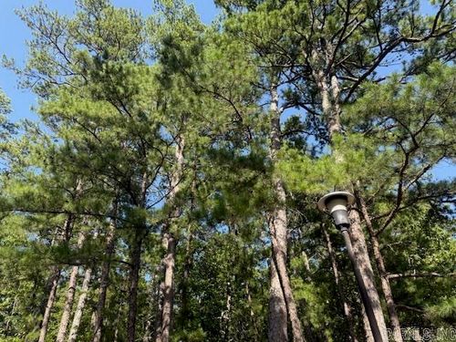 54 Alava Way, Hot Springs Village, AR, 71909-5128 | Card Image