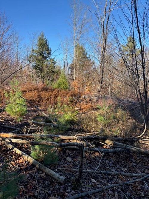 632 Main Street, Wayne, ME, 04284 | Card Image