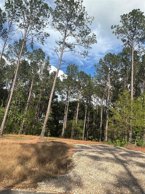 11350 Annie Creek Drive, Willis, TX, 77378 | Card Image