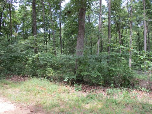 43 Franks Loop, Scotts Hill, TN, 38374 | Card Image